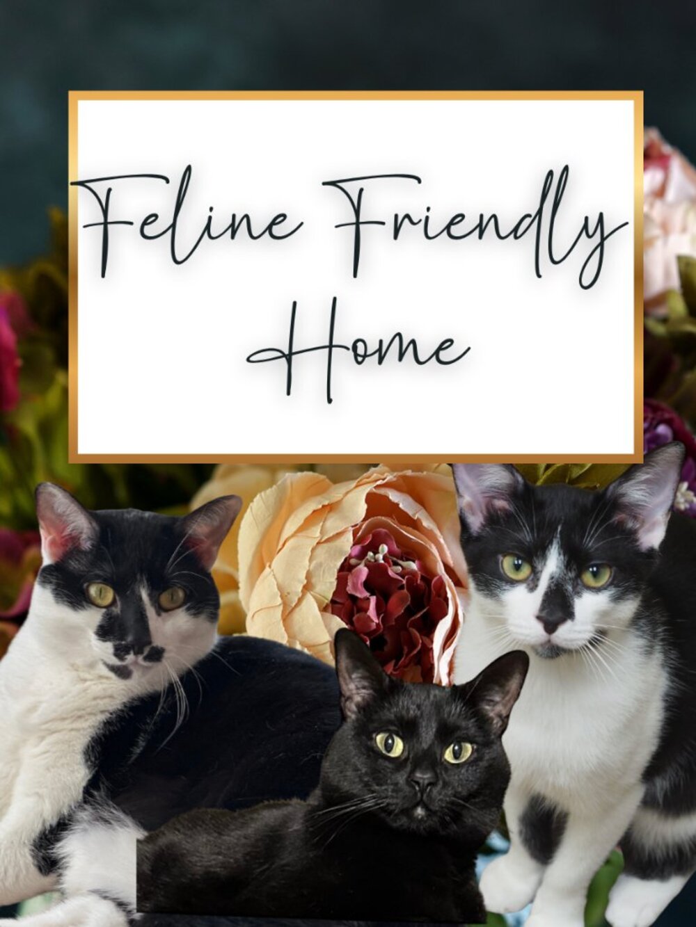 No Worries! We are a Fresh and Clean Feline Friendly Home